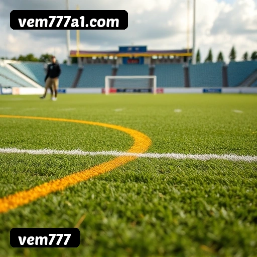 6 vantagens exclusivas do programa VIP da vem777